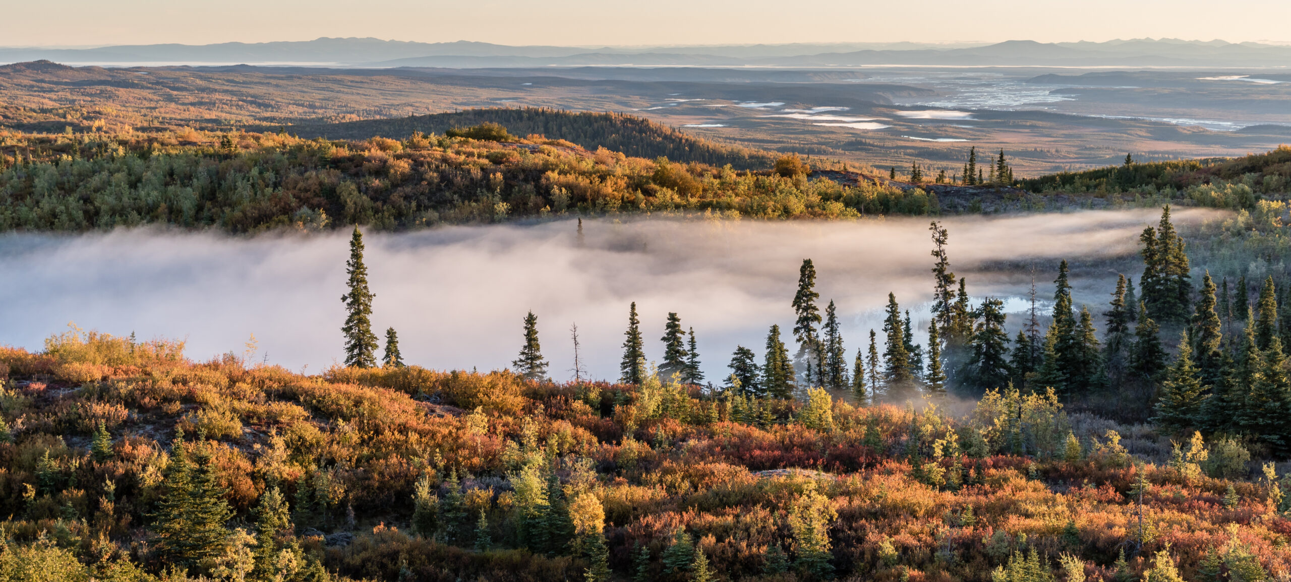 Svenska Jaktklubben Fjälljakt