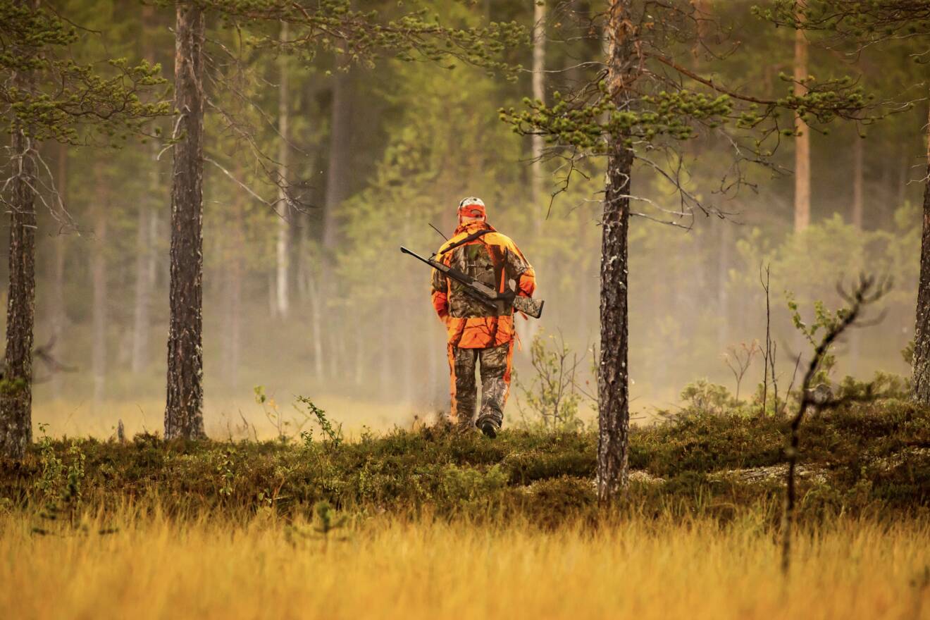 Utbildningsjakt Svenska Jaktklubben